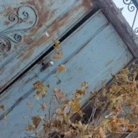 درب حیاط ماشین رو|مصالح و تجهیزات ساختمان|دلبران, |دیوار