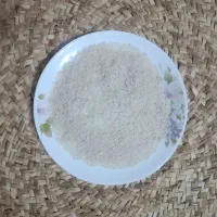 فروش برنج هاشمی درجه یک آستانه اشرفیه|خوردنی و آشامیدنی|رشت, پل تالشان|دیوار