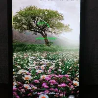 تبلت اصل اندونزی