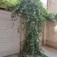 تک واحدی ۸۰ متری نقلی ۱۳ آبان ۶ طبقه دوم قیمت ویژه