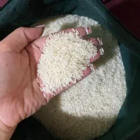 برنج درجه ۱ هاشمی