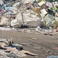 خرید کارتون|عمدهفروشی|بندرعباس, |دیوار