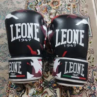 دستکش بوکس و کیک بوکس