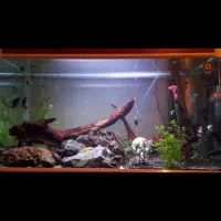 اکواریوم شیشه خم