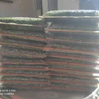 سبزی ماهی فروشی|ماهی|رامهرمز, |دیوار