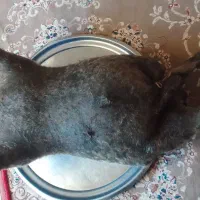 هیزه|ظروف نگهدارنده، پلاستیکی، یکبارمصرف|کوهدشت, |دیوار