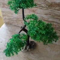 آکواریوم شرکتی بزرگ ماهیران با کلیه متعلقات|ماهی|یزد, |دیوار