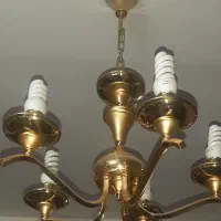 دو عدد اوستر پنج شاخه