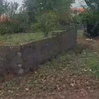 فروش زمین مسکونی ۳بهر بندر چمخاله