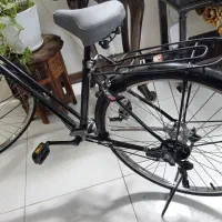 دوچرخه گاردونی کلکسیونی