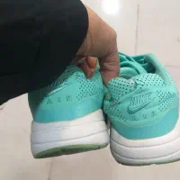 کفش ورزشی|کیف، کفش، کمربند|بابل, |دیوار