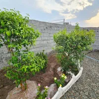 باغ-و-باغچه175متری-برق-آب-موتورخانه-تهاترباطلا-times