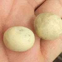 سنگ گوهر شب چراغ|جواهرات|شیراز, کوشک میدان|دیوار