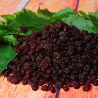 شرکت آروین تاک کشمش