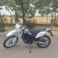تریل کویر T6