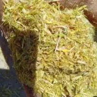 علوفه عدس آماده کیلویی