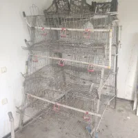 قفس مرغ تخمگذار