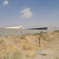 دامداری حدود 3000 متر در قوشجی|فروش دفتر صنعتی، کشاورزی، تجاری|انزل, |دیوار