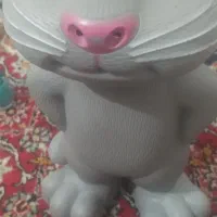 س یک عدد گربه سخن کو
