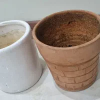 تعدادی گلدان کاملا سالم با سایزهای مختلف|گل و گیاه طبیعی|کرج, مهرویلا شمالی|دیوار