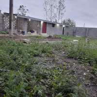 ۷۲۰متر زمین مسکونی جاده اصلی شفت|فروش زمین و ملک کلنگی|شفت, |دیوار