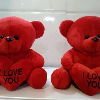 *فروش عروسک خرسی ۲۵ سانت پولیشی قابل شستشو*|اسباببازی بچه|رشت, گلسار|دیوار