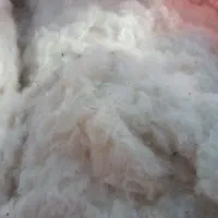 پنبه|تشک تختخواب|داراب, |دیوار