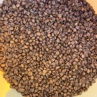 فروش دانه قهوه عمده ( فله )