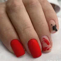 ناخن،رنگ وکراتیی مو،مژه اصلاح فیبروز پاکسازی پوست|خدمات آرایشگری و زیبایی|کرج, گوهردشت|دیوار