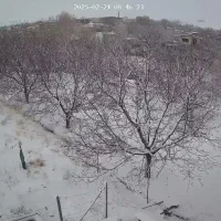 باغ گوزلدره|فروش خانه و ویلا|باغ حلی, |دیوار