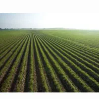 زمین ۲۵۰ ، بر خیابان ۱۲ متری نقشه UTM