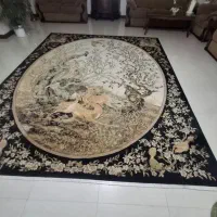 دو عدد فرش ۱۲ متری|فرش|زابل, |دیوار