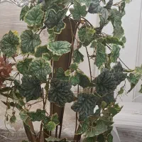 گل اویز خارجی با گلدان قیفی فرفورژه