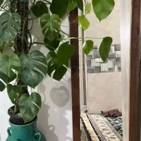 آینه قدی با قاب روکش طبیعی چوب|آینه|اندیشه, اندیشه فاز ۱|دیوار