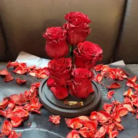 هدیه باکس گل رز جاودان طرح دیو و دلبر|گل و گیاه طبیعی|تهران, فردوسی|دیوار