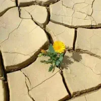 کارگر بنایی هستم روزمزد