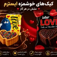 بازاریاب حضوری