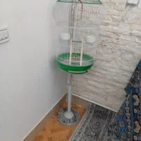 قفس پرنده