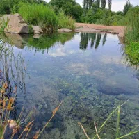 فروش-زمین-در-محدوده-بسیار-دلپذیر-و-سرسبز-سنگستان