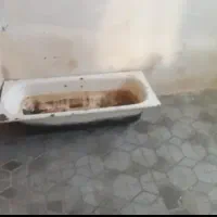 وان