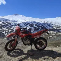 موتور مزایده 150