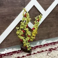درختچه انگور