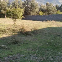 فروش یا معاوضه زمین ۲۰۰ متری|فروش زمین و ملک کلنگی|رودبار, |دیوار