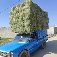 فروش یونجه خالص اعلا بسته و خورد شده