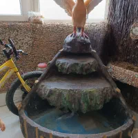 آب نما تزیینی