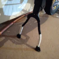 جک دوپایه دوچرخه