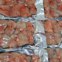 فروش فیله ماهی گالیت بدون واسطه