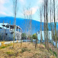 زمین-پای-کوه-350-متر-بافت-مستقل-چلندر-ملکار