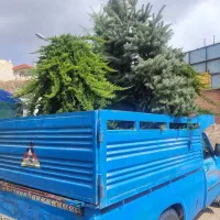 باربری خدمات حمل و نقل نیسان کاملا کف صاف|خدمات حمل و نقل|تبریز, |دیوار