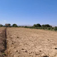 زمین باغی سند تکبرگ سند تهاتر با خودرو یا اقساط|فروش دفتر صنعتی، کشاورزی، تجاری|تاکستان, |دیوار